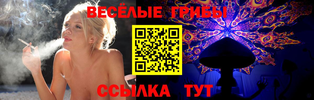 Галлюциногенные грибы Cubensis Ухта