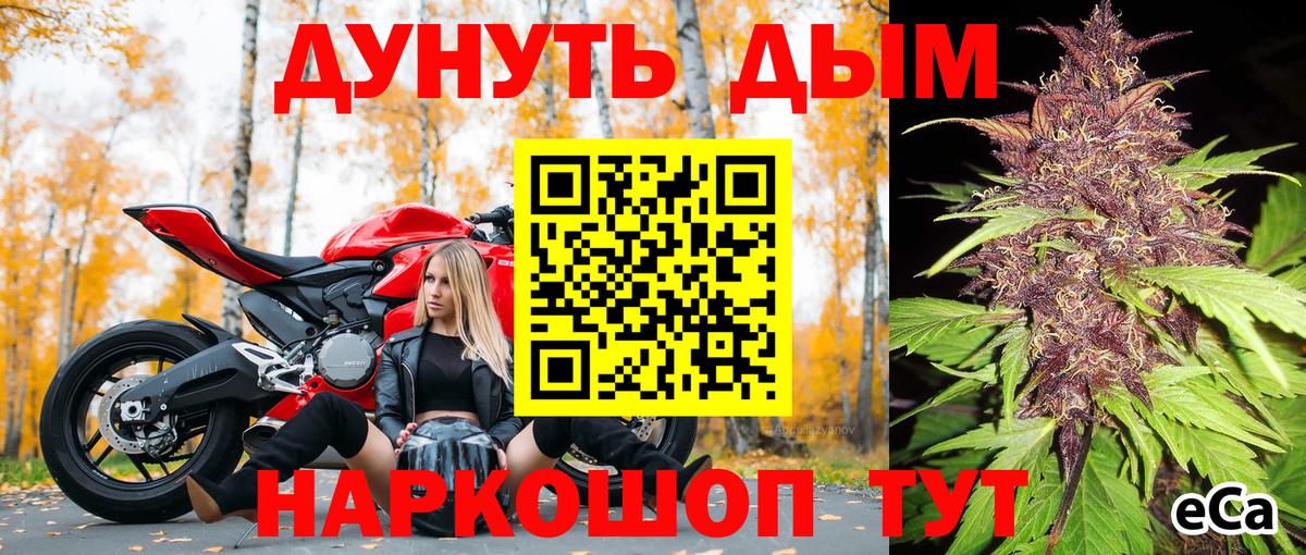 Ухта  Бошки марихуана план  Вход с VPN  Марихуана конопля  Канабис THC 21% 